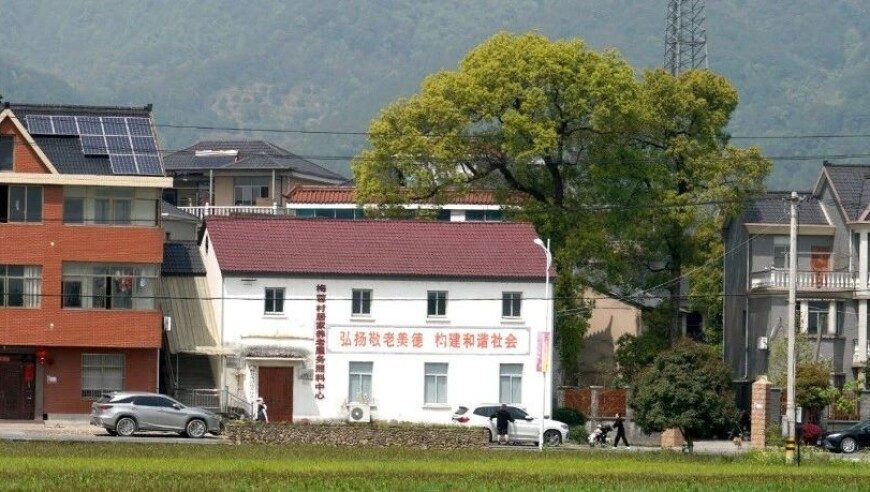 正版澳门天天彩免费资料大全,王楚钦夺亚洲杯单打冠军,公开决策资料解释落实_豪华版V9.56